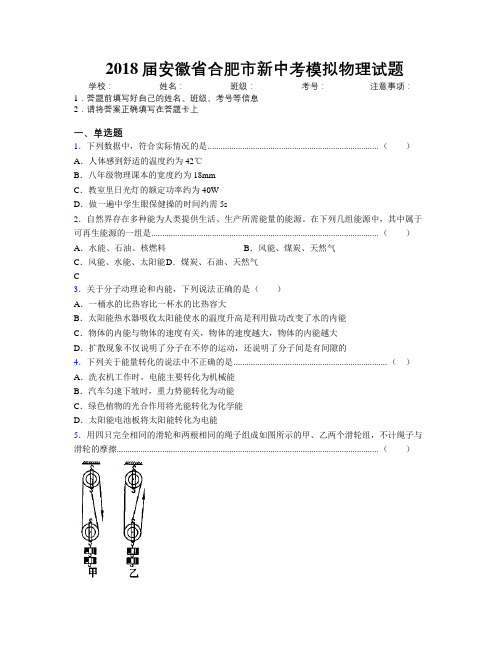 最新2018届安徽省合肥市新中考模拟物理试题及解析