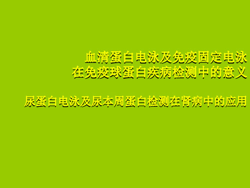 尿蛋白电泳及尿本周蛋白检测在肾病中的应用