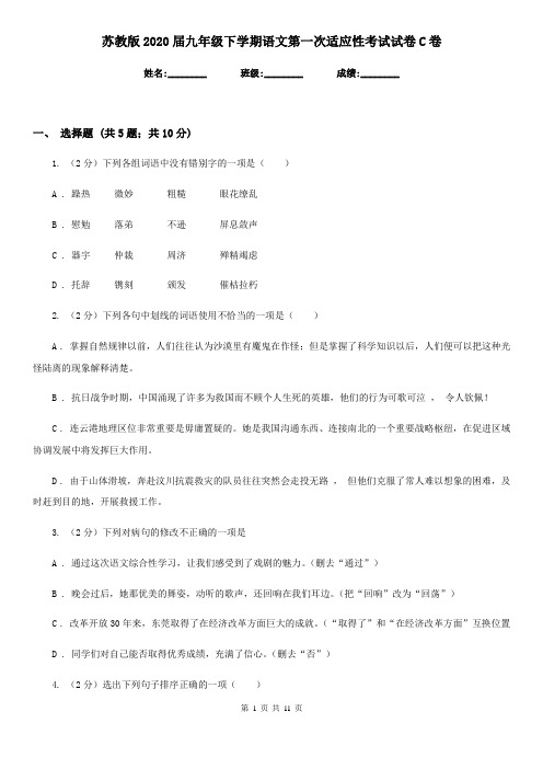 苏教版2020届九年级下学期语文第一次适应性考试试卷C卷