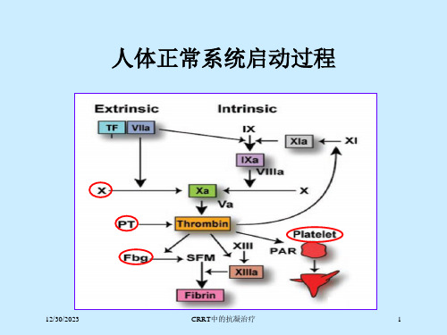 CRRT中的抗凝治疗培训课件