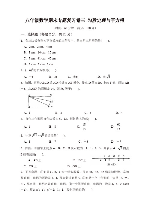 人教版八年级上册第一学期数学期末专题复习卷三 勾股定理与平方根