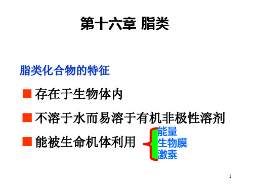 有机化学 脂类