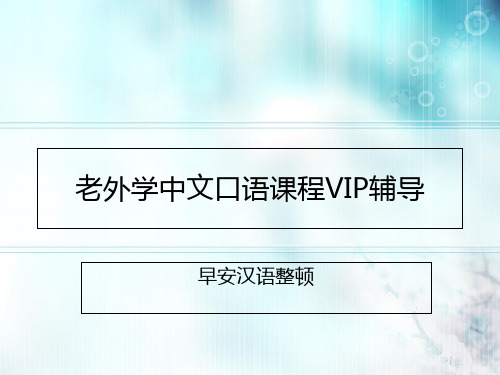 老外学中文口语课程VIP辅导