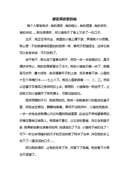 五年级作文：都是调皮惹的祸作文500字_1