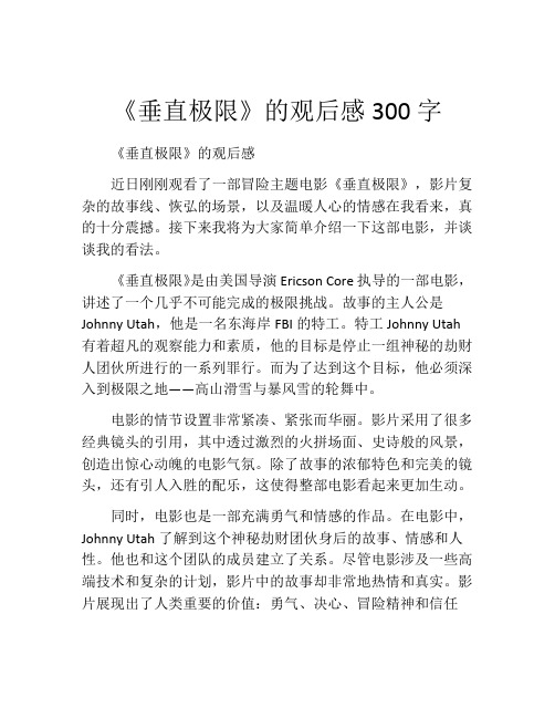 《垂直极限》的观后感300字