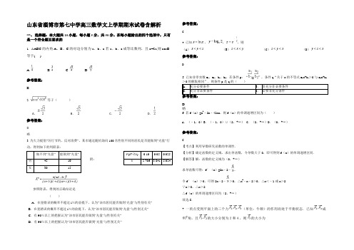 山东省淄博市第七中学高三数学文上学期期末试卷含解析