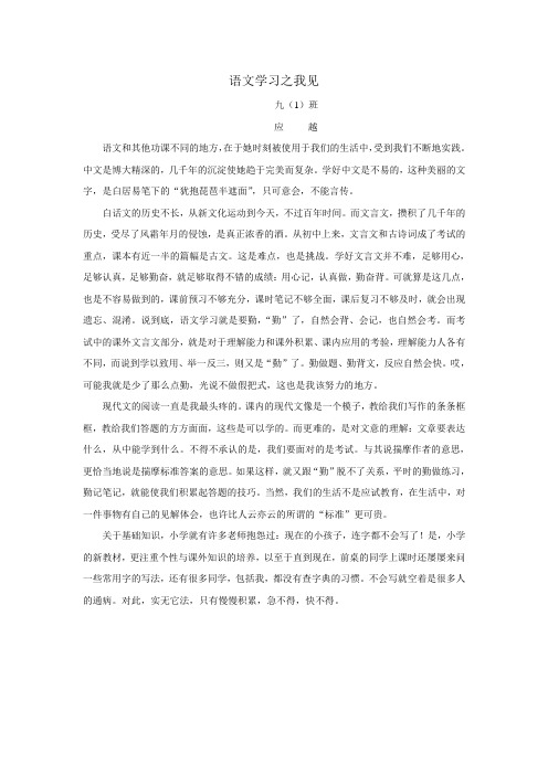 语文学习之我见 初三作文