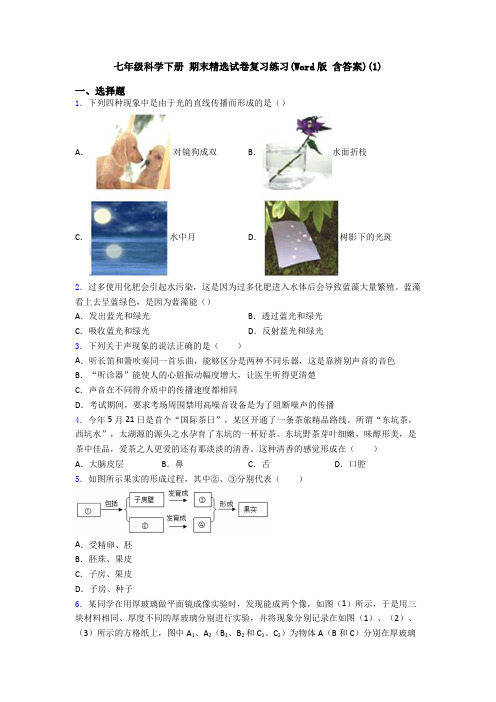 七年级科学下册 期末精选试卷复习练习(Word版 含答案)(1)