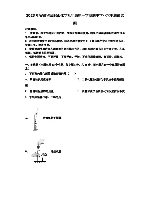 2023年安徽省合肥市化学九年级第一学期期中学业水平测试试题含解析