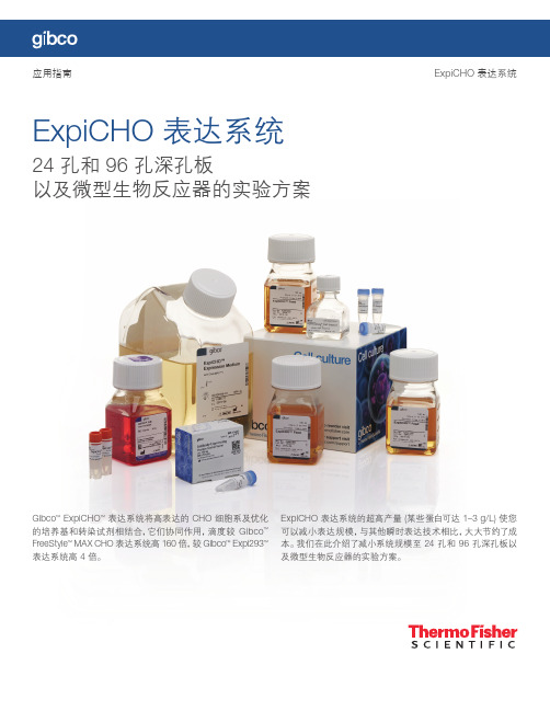 ExpiCHO 表达系统 实验方案 24 孔和 96 孔深孔板 以及微型生物反应器说明书