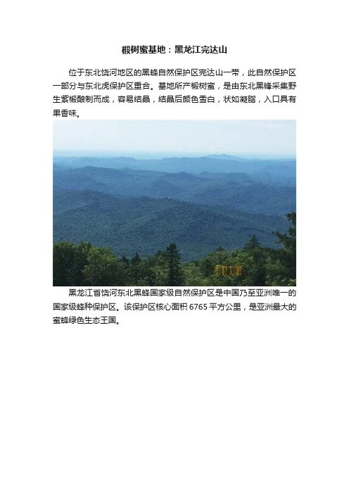 椴树蜜基地：黑龙江完达山