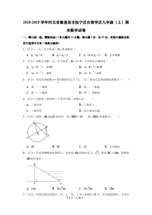 2018-2019学年河北省秦皇岛市抚宁区台营学区九年级(上)期末数学试卷(解析版)