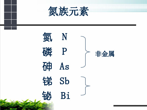 《氮族元素》PPT2 人教版