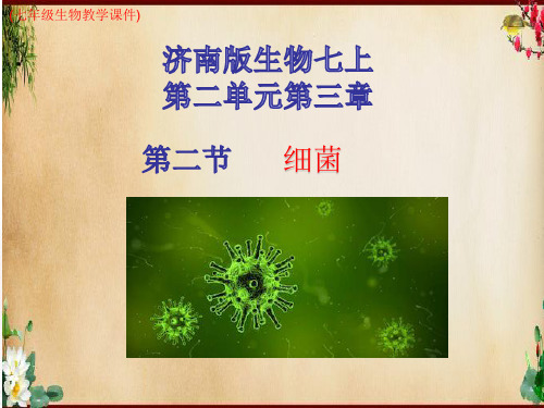 (新)济南版七年级上册生物第二单元第三章第二节细菌(教学课件)