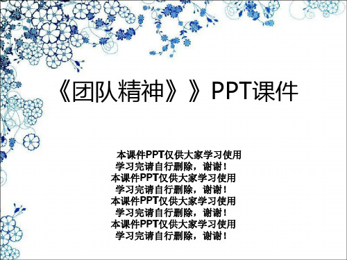 《团队精神》》PPT课件