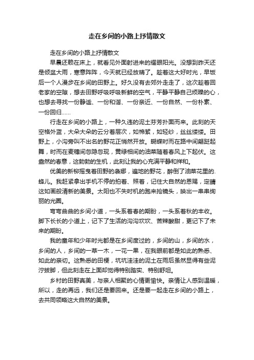 走在乡间的小路上抒情散文