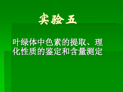 色素的提取与分离实验