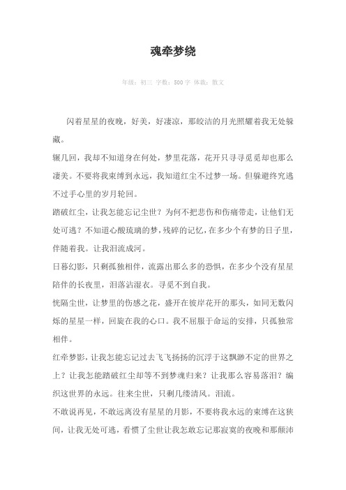 魂牵梦绕500字作文