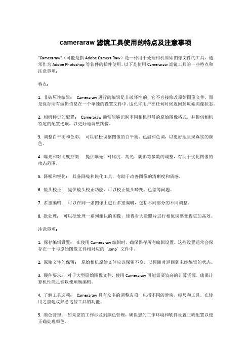 cameraraw滤镜工具使用的特点及注意事项