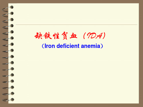 内科学：缺铁性贫血