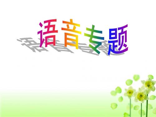 2013届高三拼音专题复习课件