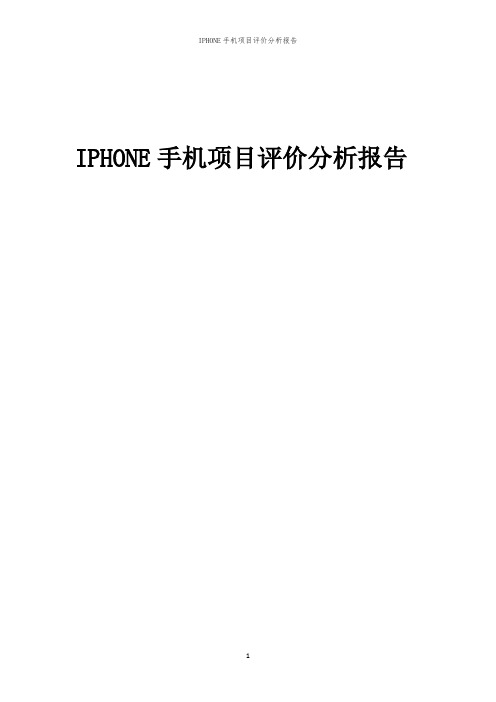 IPHONE手机项目评价分析报告