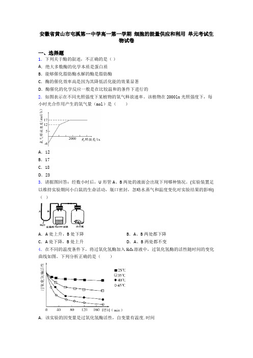 安徽省黄山市屯溪第一中学高一第一学期 细胞的能量供应和利用 单元考试生物试卷