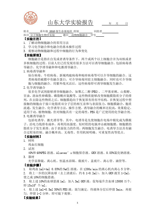 实验二  动物细胞融合