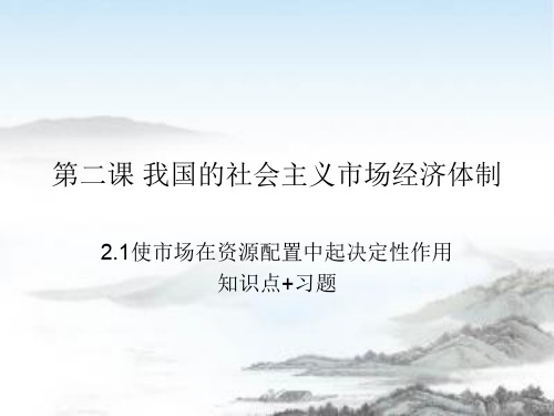 2.1使市场在资源配置中起决定性作用知识点