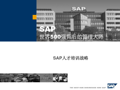 SAP人才培训