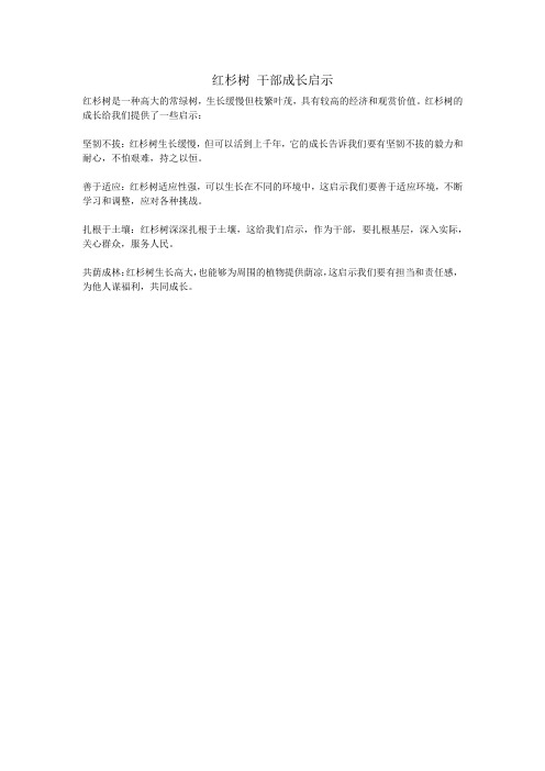 红杉树 干部成长启示