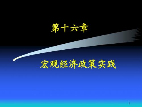 第十六章  宏观经济政策实践