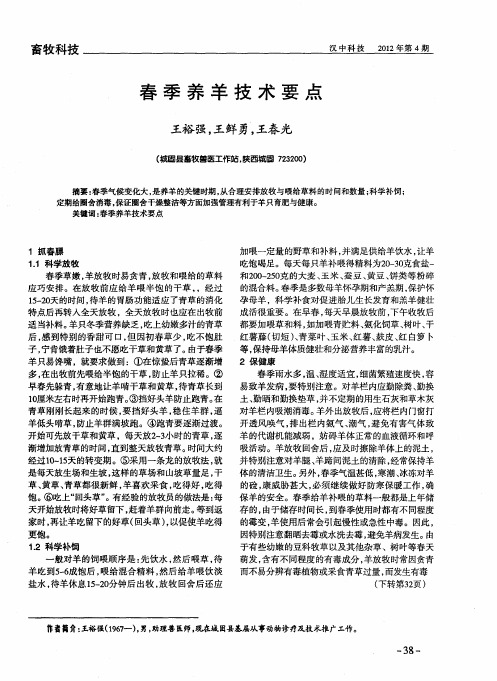 春季养羊技术要点