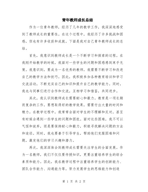 青年教师成长总结