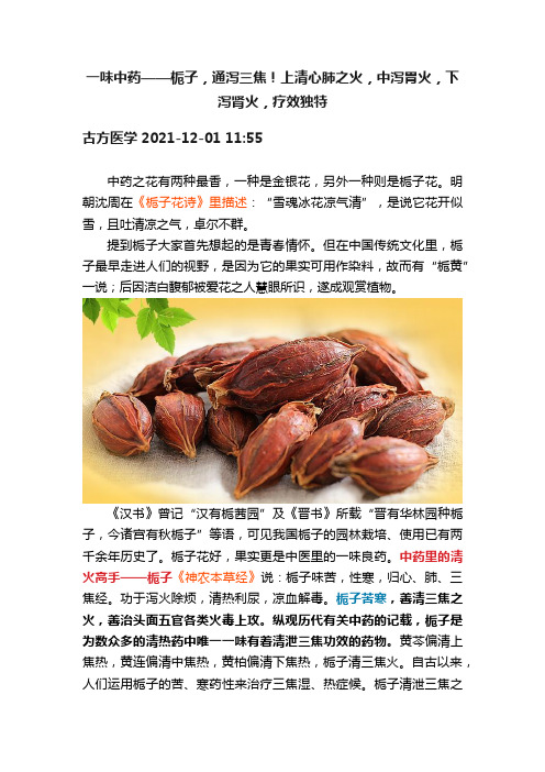 一味中药——栀子，通泻三焦！上清心肺之火，中泻胃火，下泻肾火，疗效独特