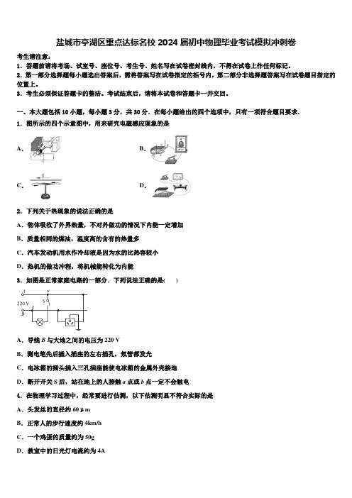 盐城市亭湖区重点达标名校2024届初中物理毕业考试模拟冲刺卷含解析