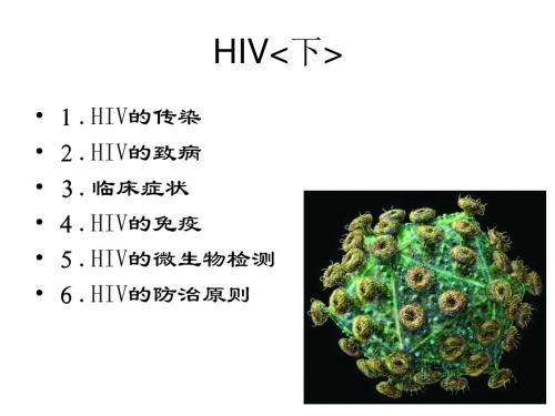 HIV的传染和致病ppt课件