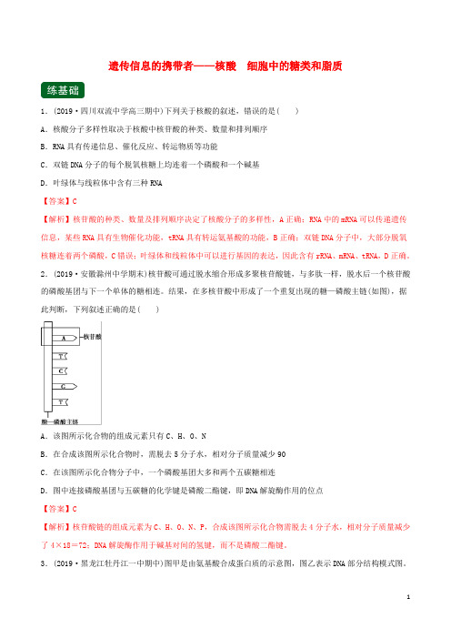 2020年高考生物一轮复习专题1.4遗传信息的携带者__核酸精练含解析201908241173