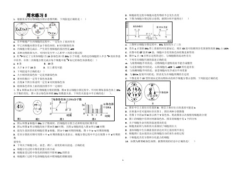 高三生物专题训练遗传规律与伴性遗传