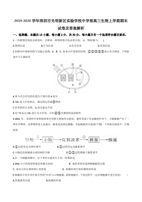 2019-2020学年深圳市光明新区实验学校中学部高三生物上学期期末试卷及答案解析