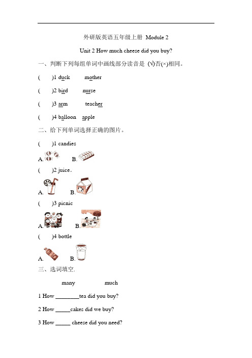 五年级上册英语试题-Module 2 Unit 2 How much cheese did you buy测试卷(含答案)外研社(三起)