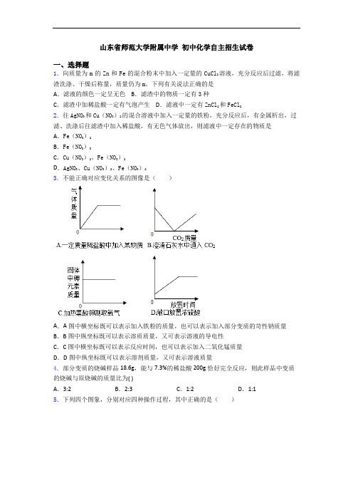 山东省师范大学附属中学 初中化学自主招生试卷