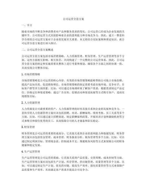 公司运营全套方案