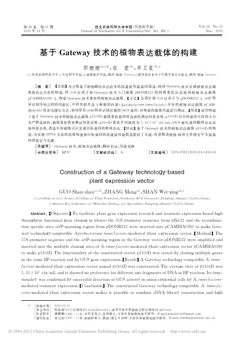 基于Gateway技术的植物表达载体的构建