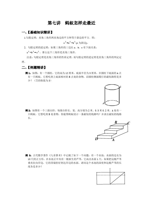 第七讲  蚂蚁怎样走最近