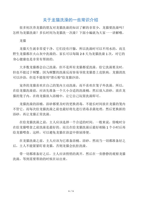 关于龙猫洗澡的一些常识介绍
