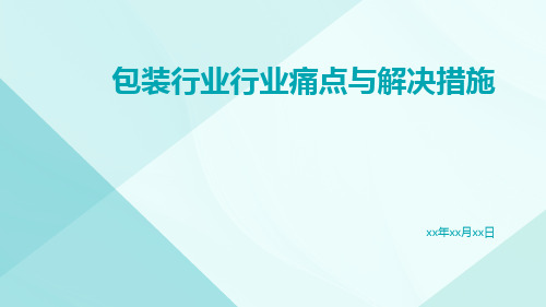 包装行业行业痛点与解决措施ppt