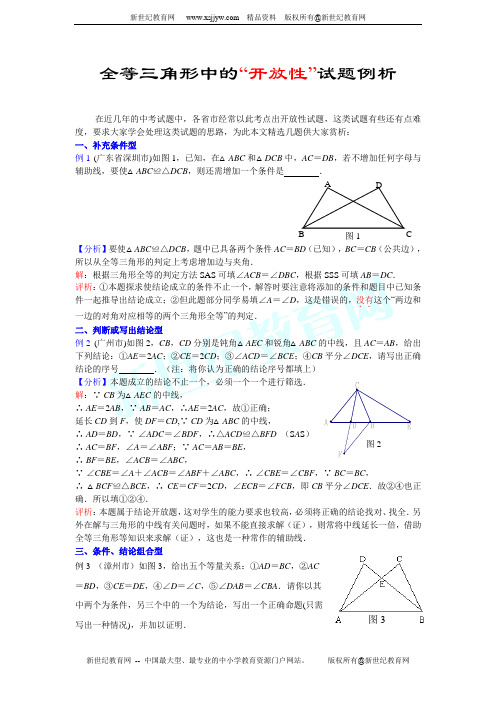 全等三角形中的“开放性”试题例析