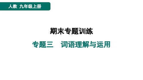 九年级语文上册专题三 词语理解与运用作业