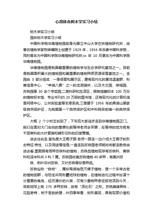 心得体会树木学实习小结